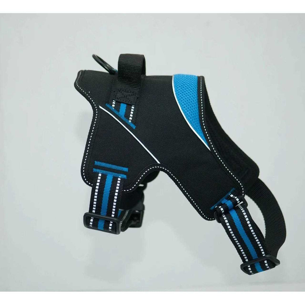 Patented Hart Harness W652
