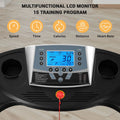 2.5 HP Treadmill with 12% Auto Incline P693