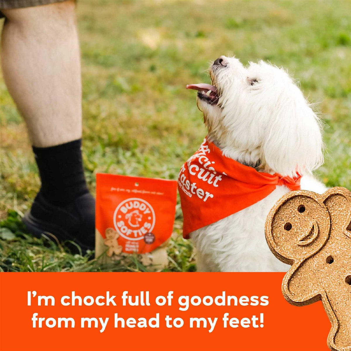 Peanut Butter Soft and Chewy Dog Treats Y681724