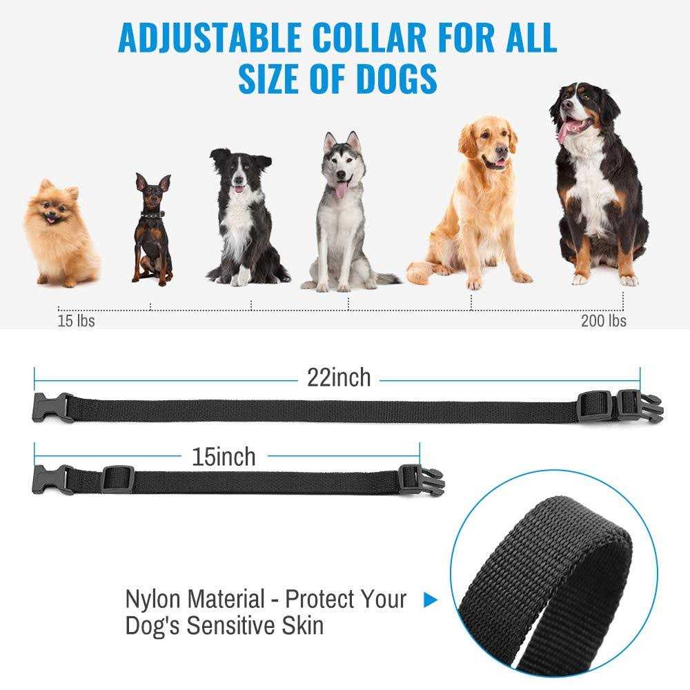 Rechargeable Dog Training Collar with Remote Q7043
