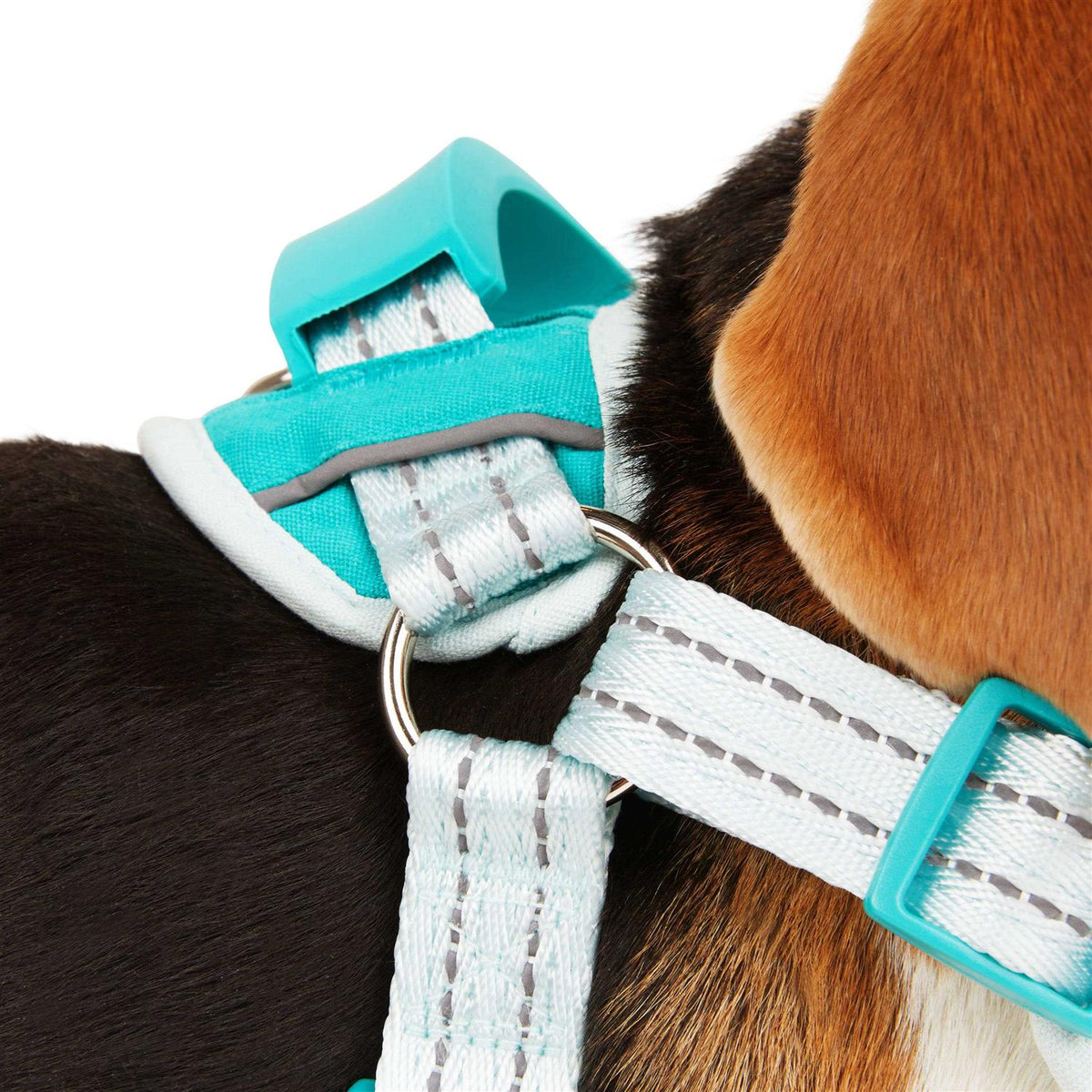 Easy On Training Dog Harness B651994