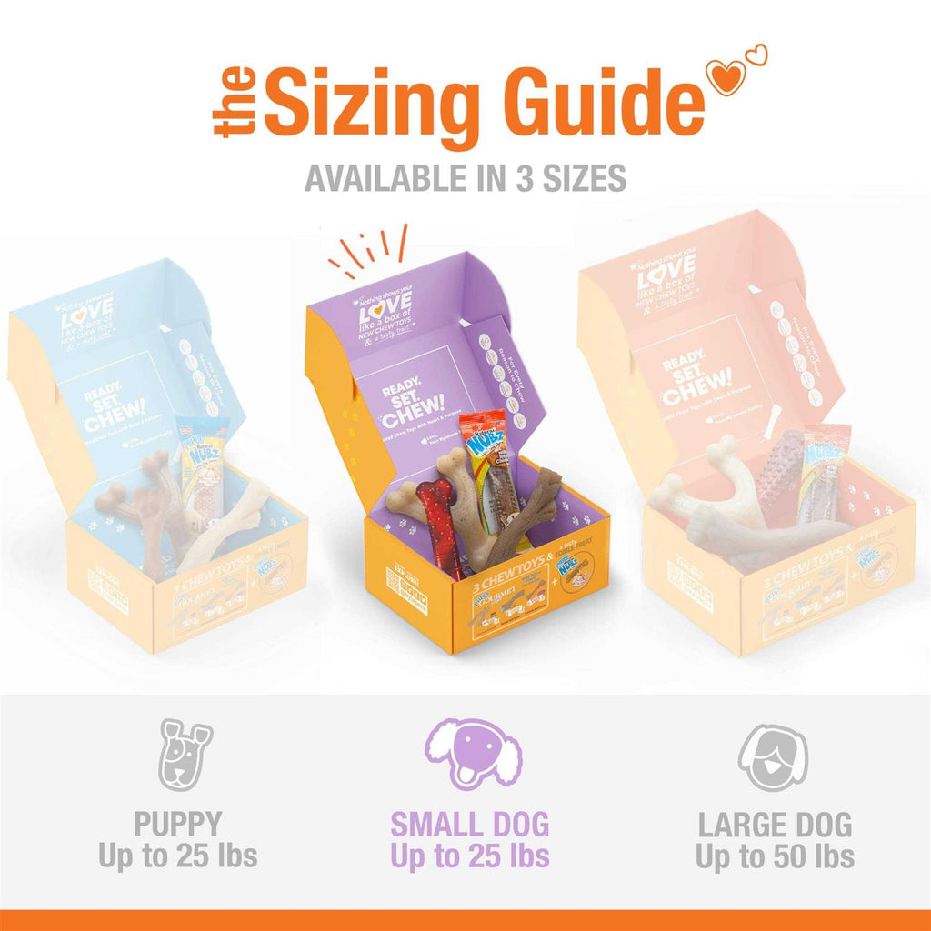 Chew Toy & Treat Gift Box J898