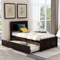 Wood Twin Platform Bed with Headboard & Trundle P618