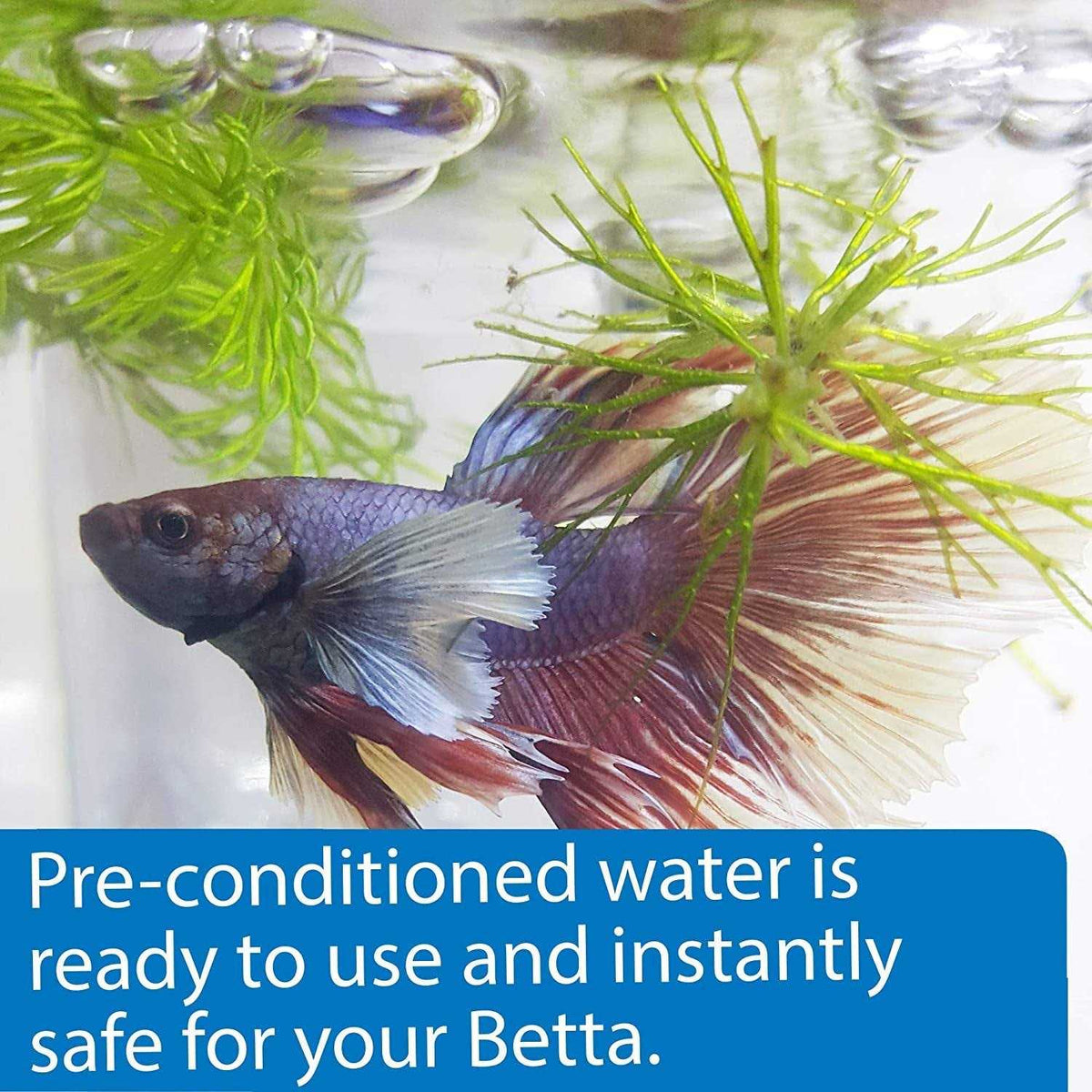 Betta Water T733