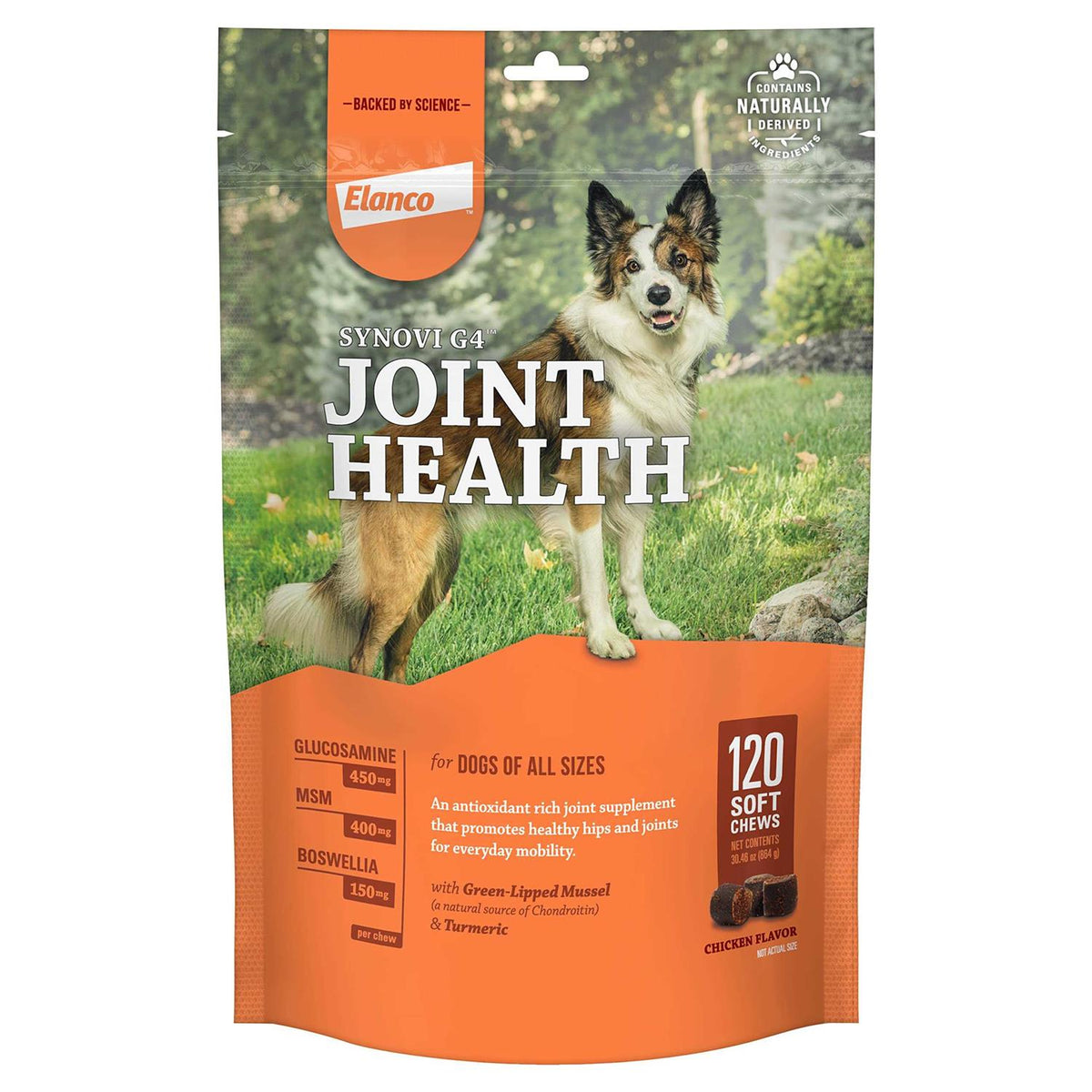 Joint Supplement Soft Chews for Dogs J603132