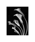 Black and White Canvas Art 35 in. W x 47 in. H V291154