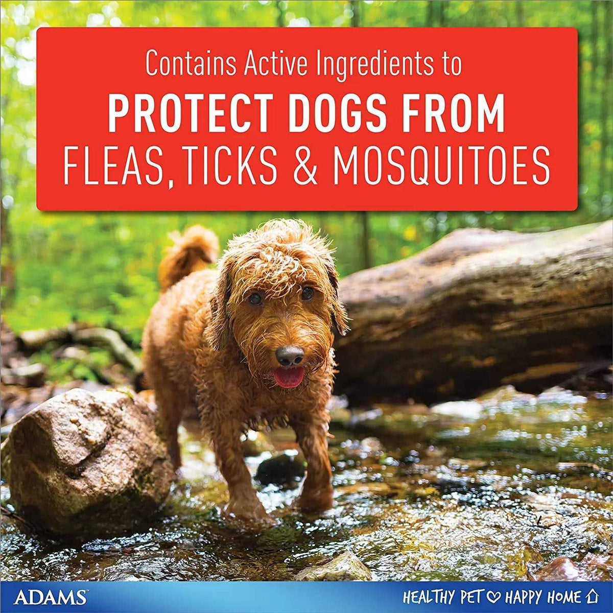 Flea Tick Collar for Dogs Puppies U883300