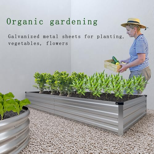 Galvanized Raised Garden Bed, 2 Pcs 10×3×1FT Metal Planting Box M618