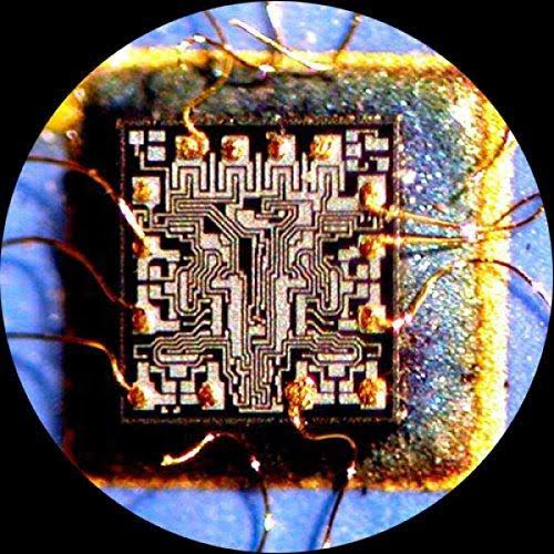 Binocular Stereo Zoom Microscope with WH10x Eyepieces J937