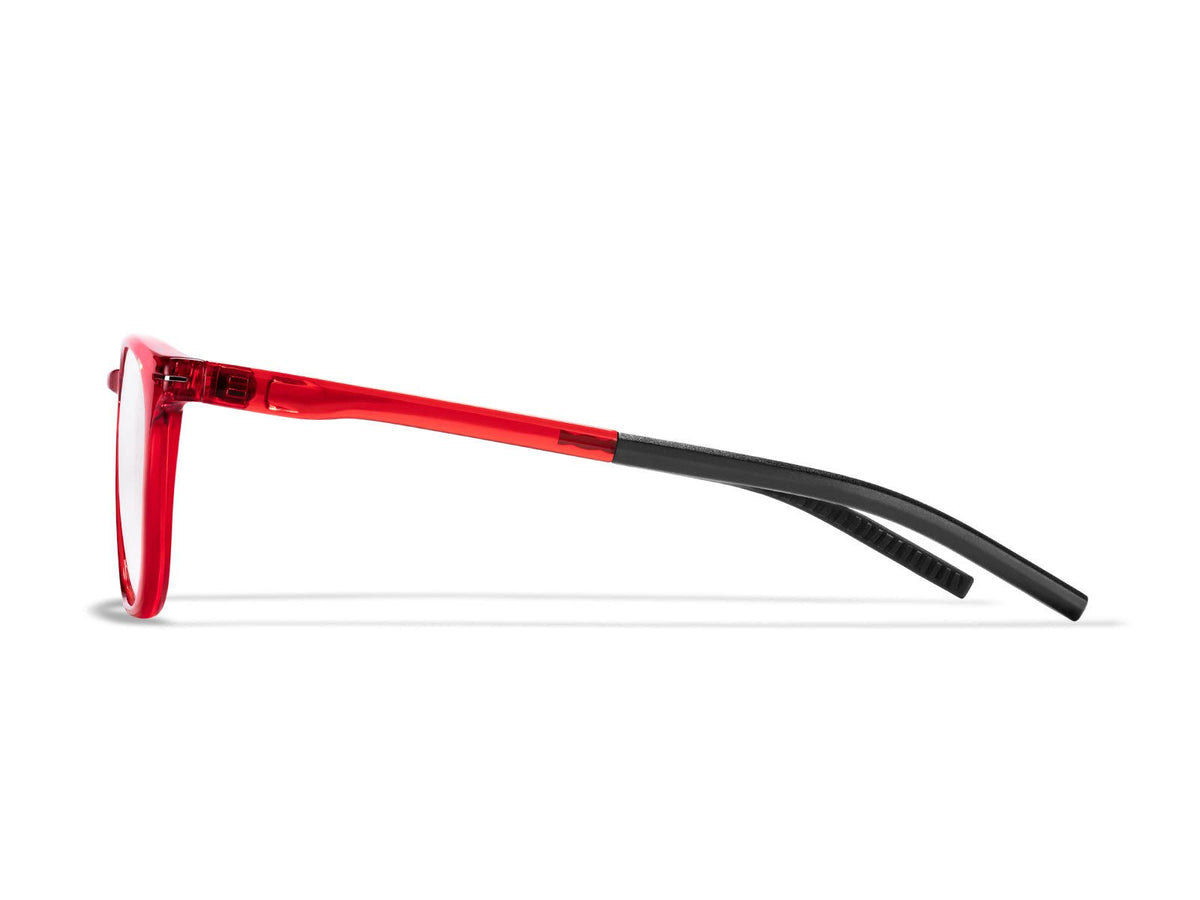 Clear Readers P1376
