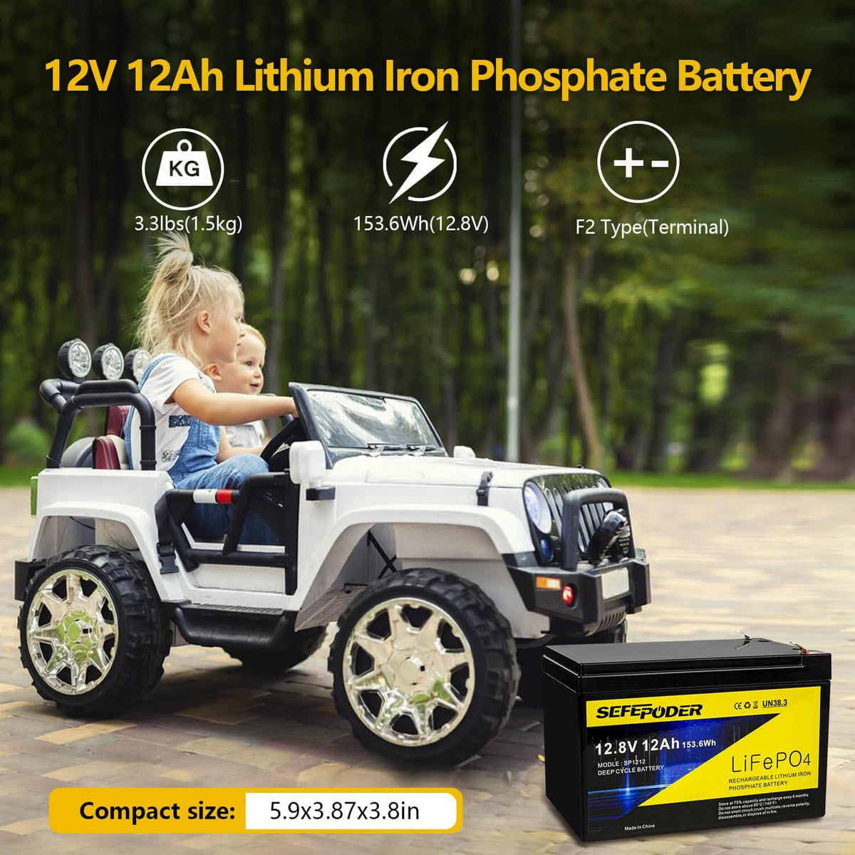 12V 12Ah LiFePO4 Deep Cycle Rechargeable Battery D51913