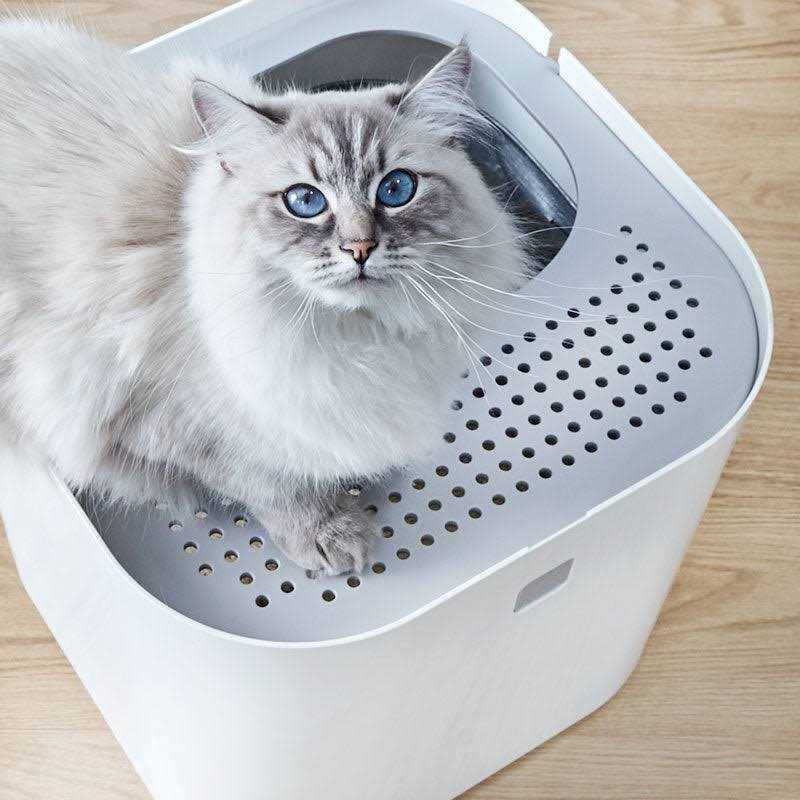 Litter Box X568
