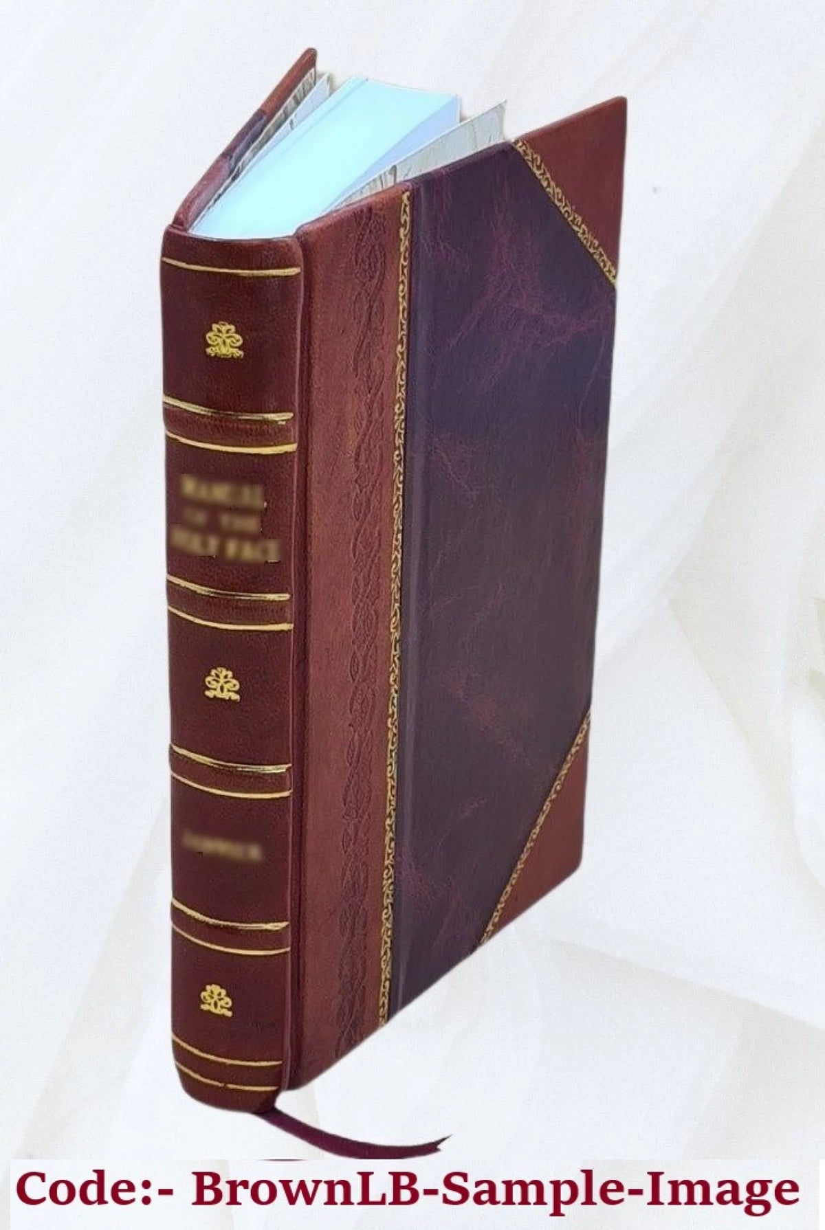 Leather Bound Book W949700