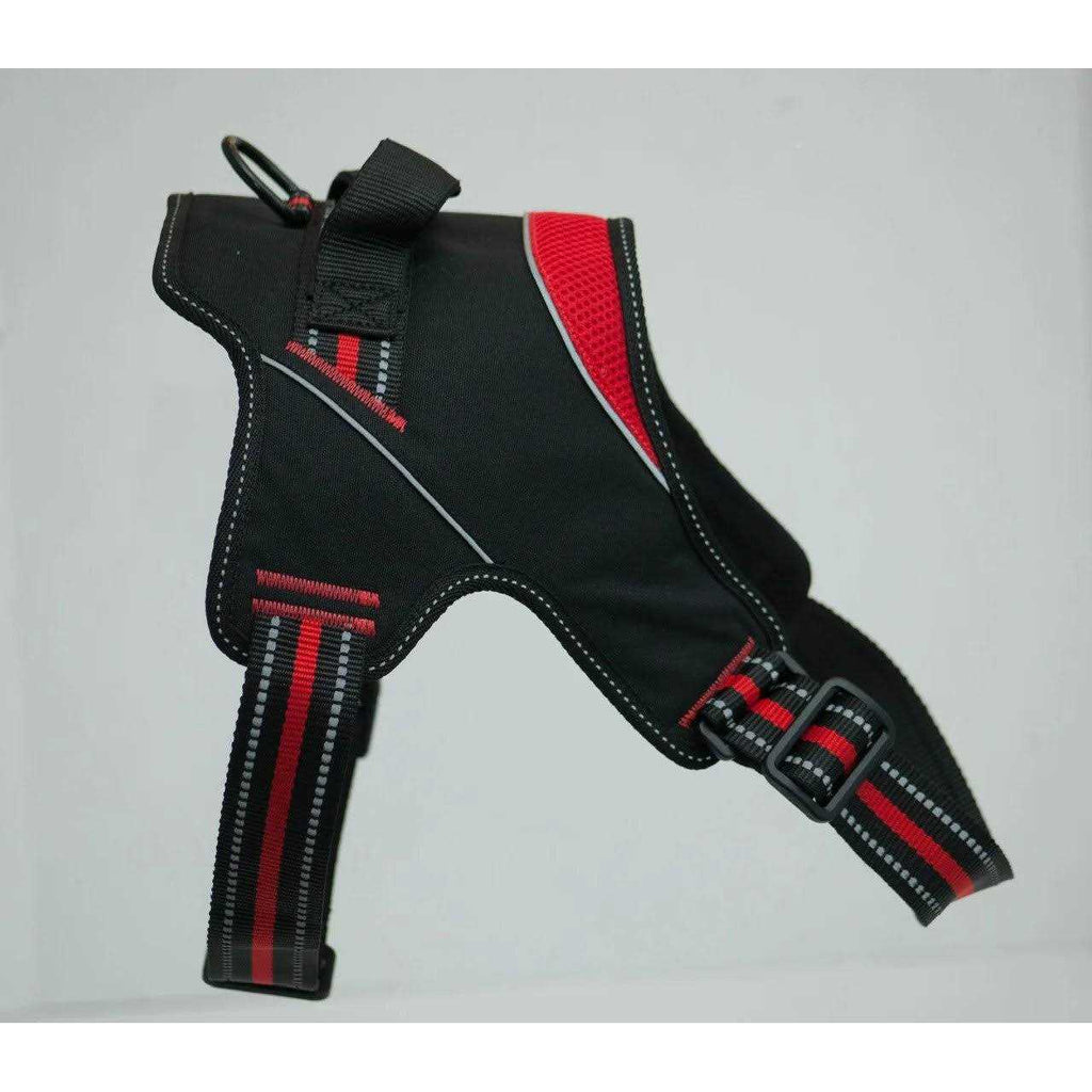Patented Hart Harness W652