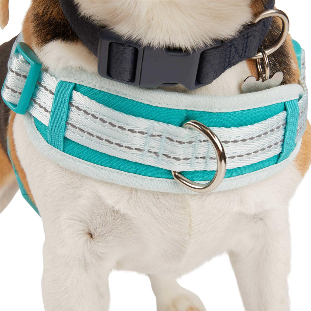 Easy On Training Dog Harness B651994