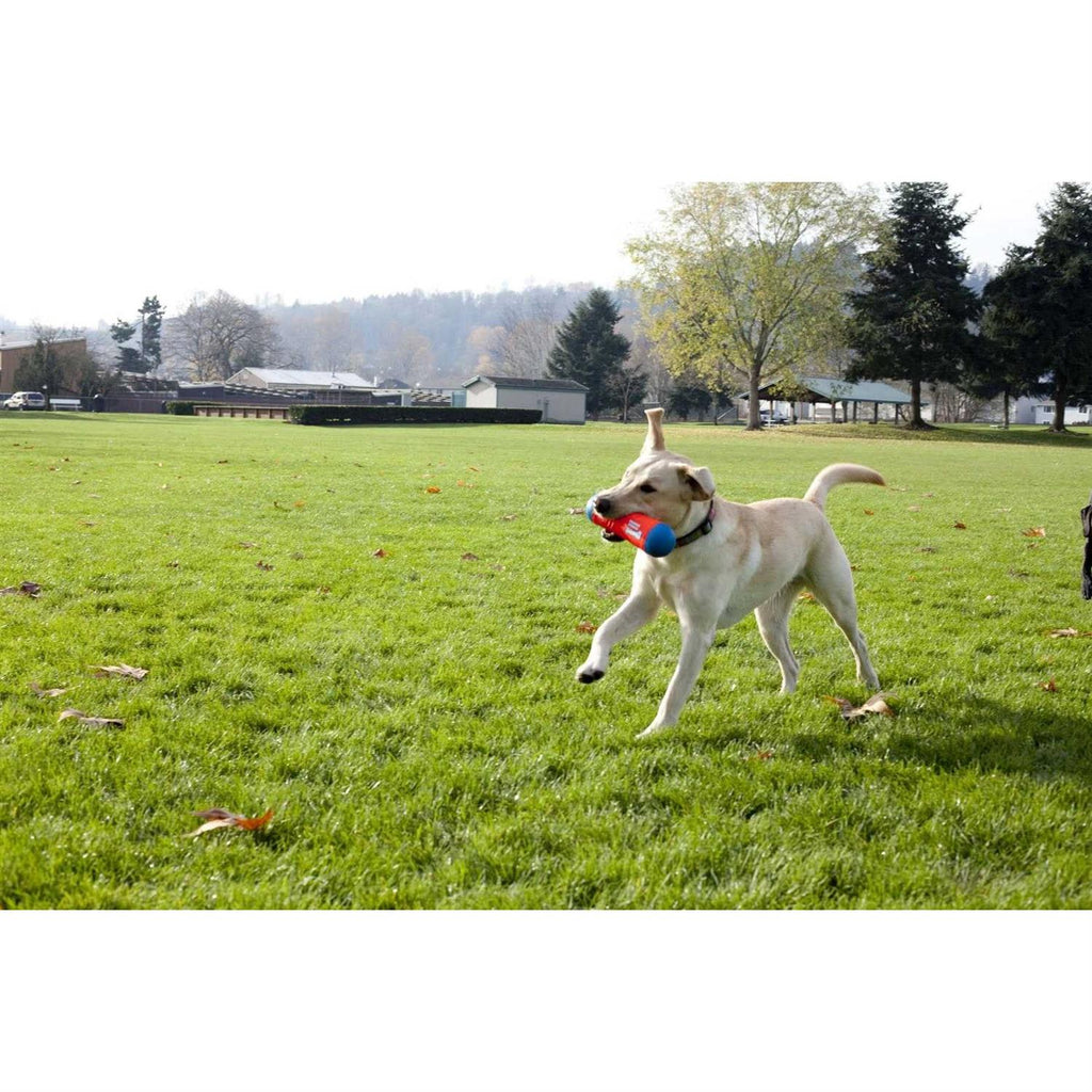 Dog Toy U681386