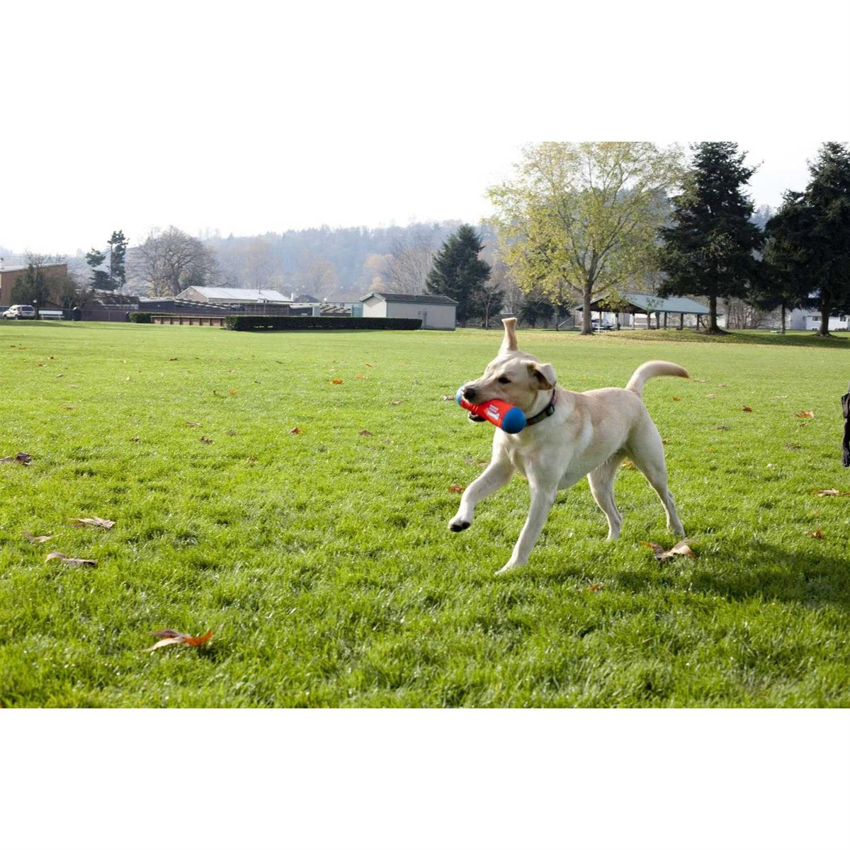 Dog Toy U681386