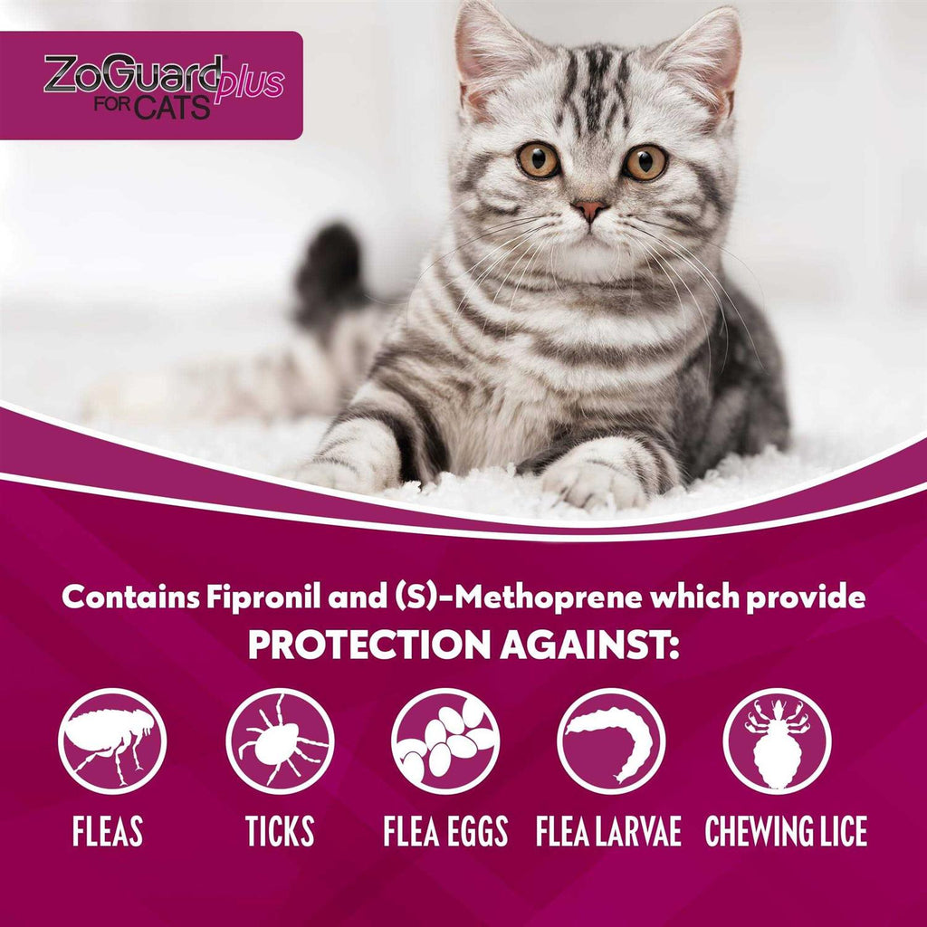 Cat Pet Supplies A402