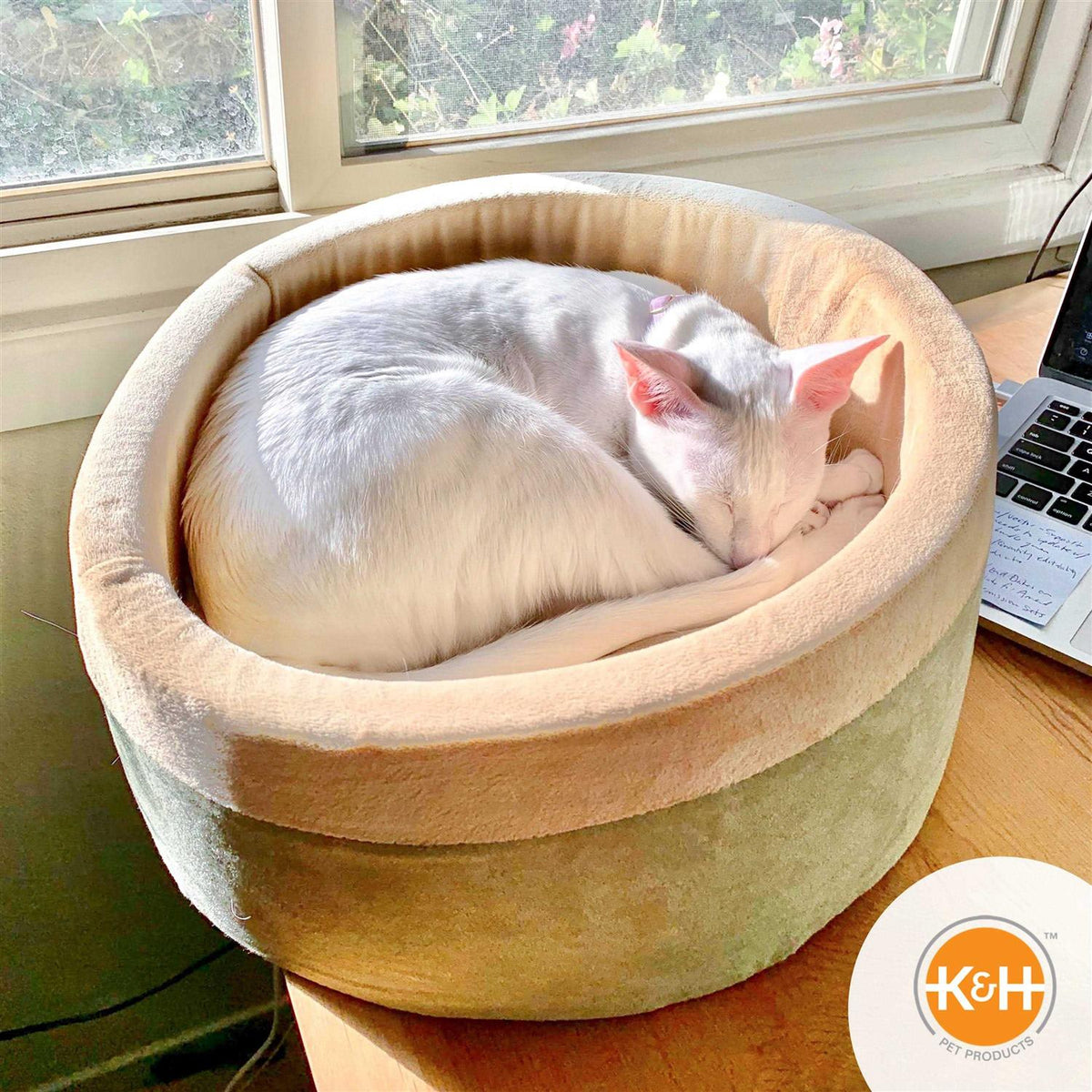 Cat Bed Q750592