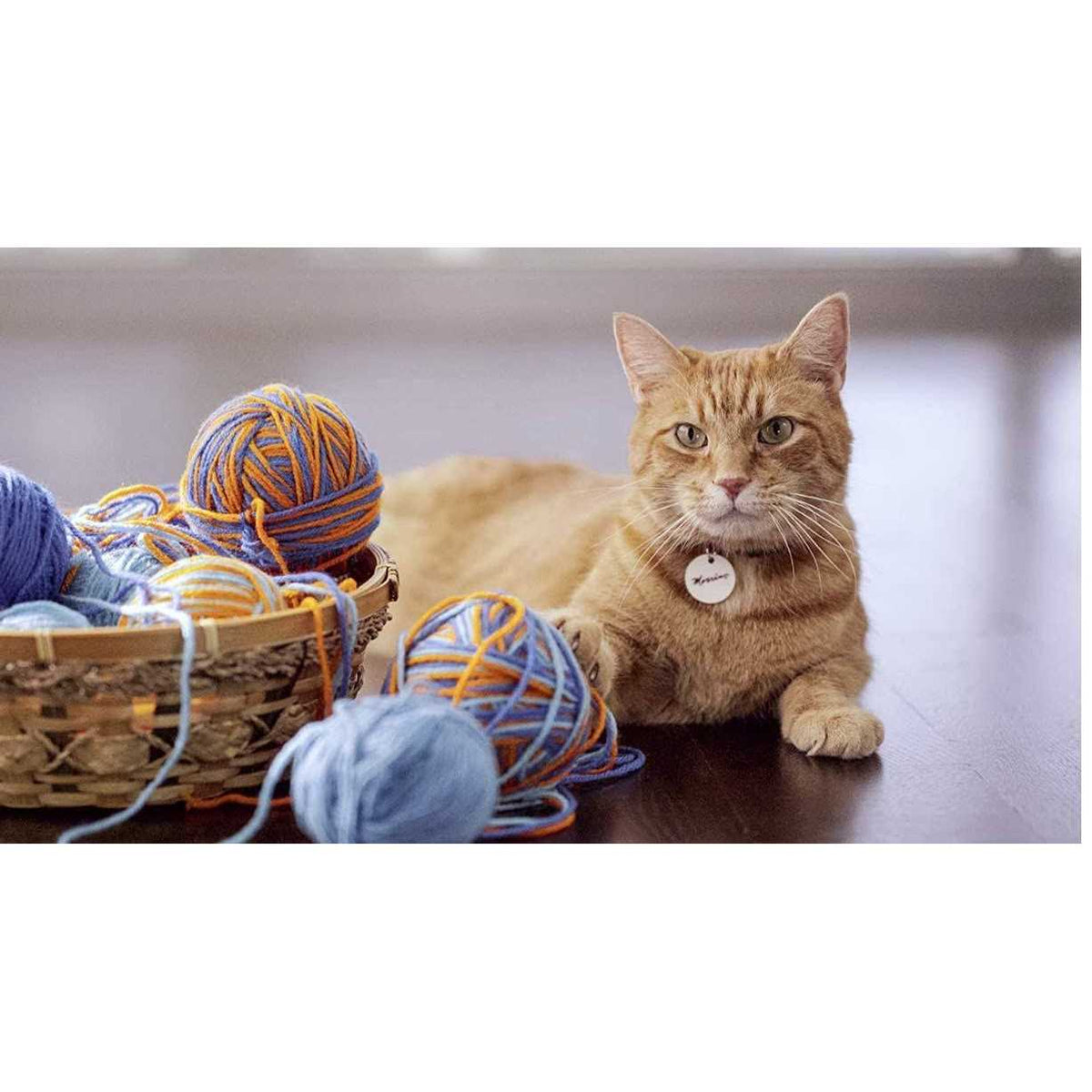 Tuna Cat Food E789
