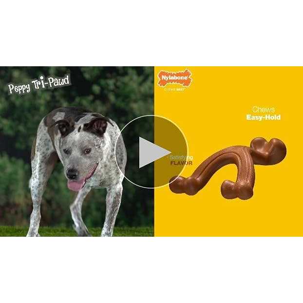 Chew Toy & Treat Gift Box J898