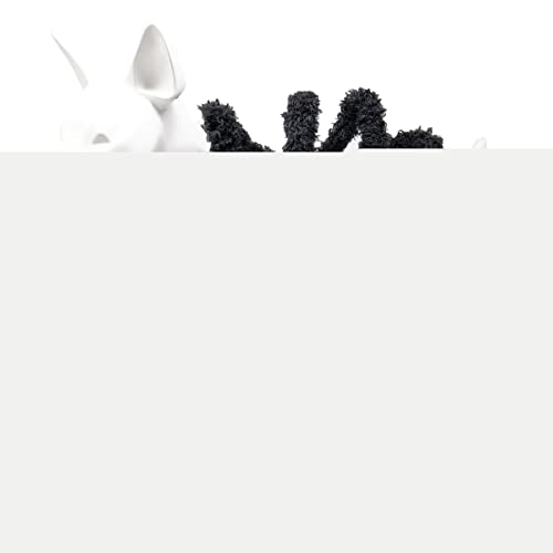 Black Small Spider Dog Costume K427087