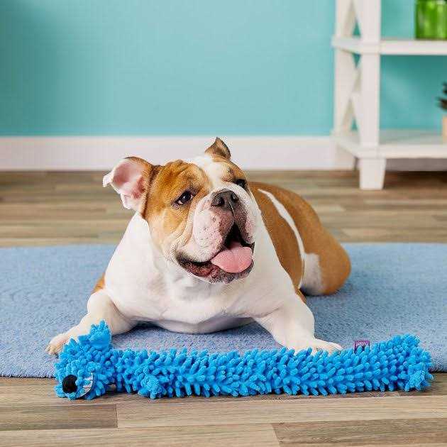 Floppy Dog Toy T4934