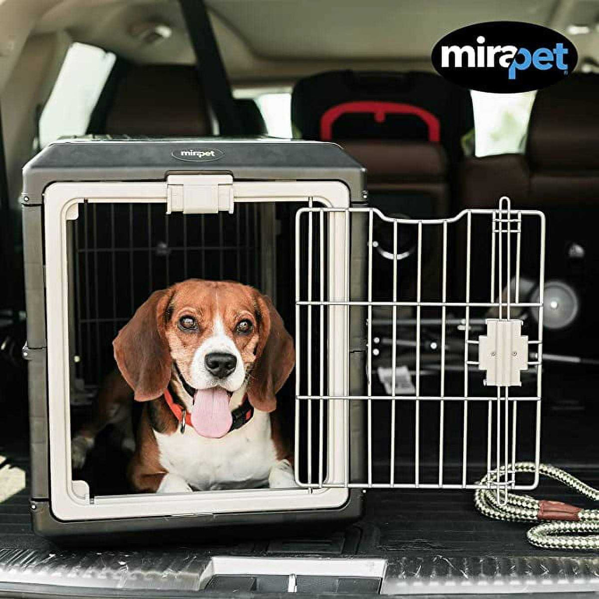 Fold Up Pet Carrier & Crate S204