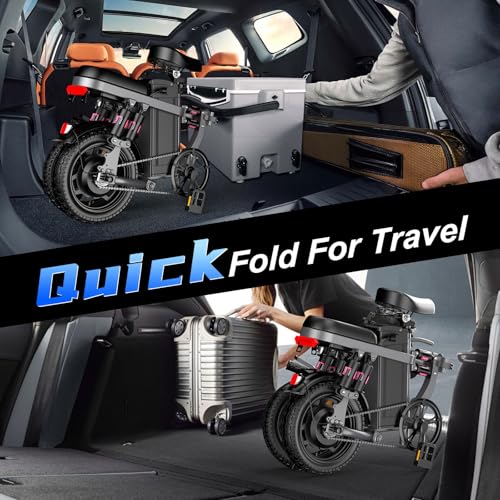 Foldable Electric Bike with 700W Motor and 480Wh Battery F78083