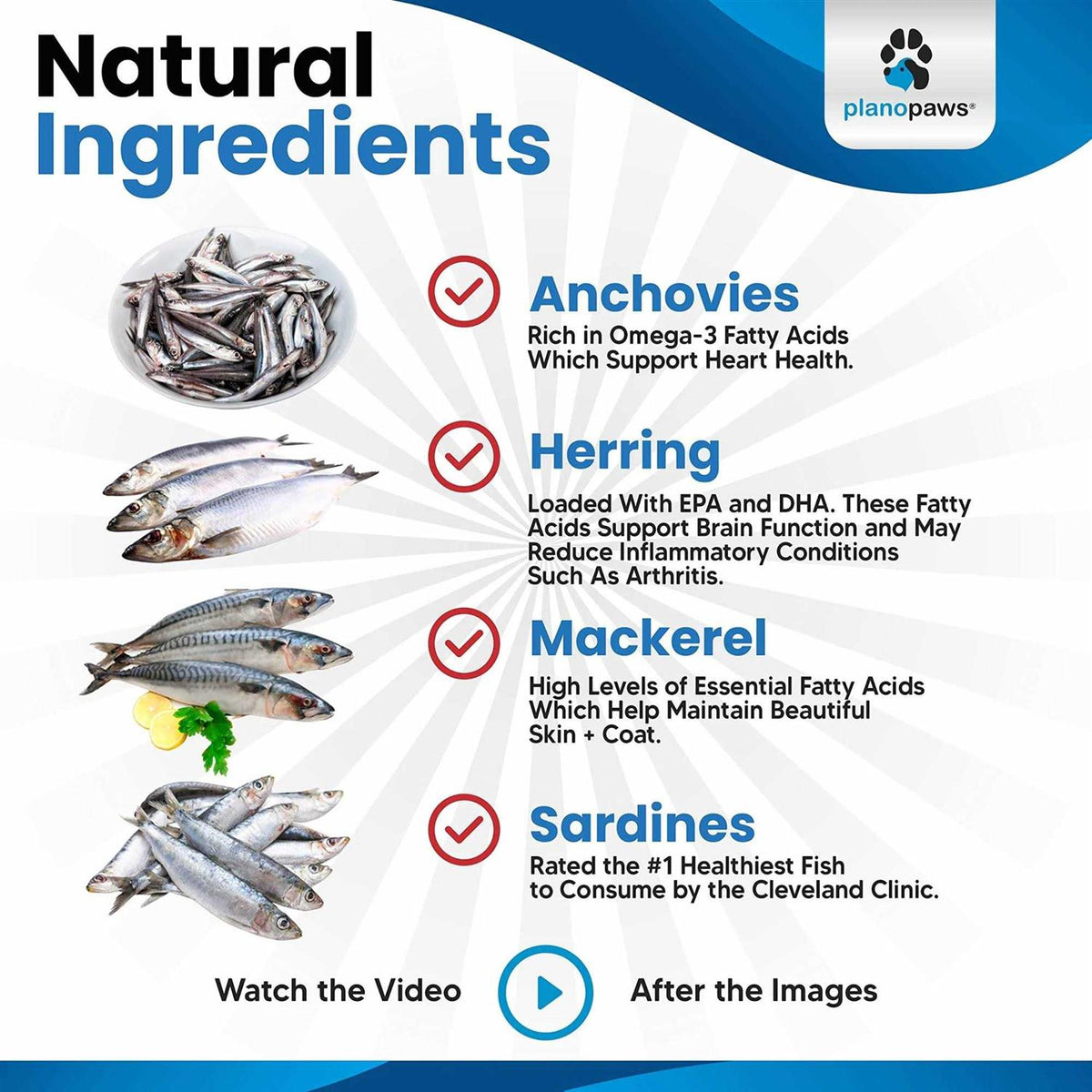 Omega 3 Fish Oil for Cats C289