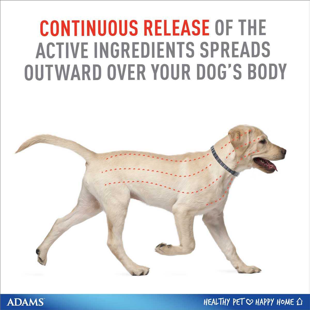 Flea Tick Collar for Dogs Puppies U883300