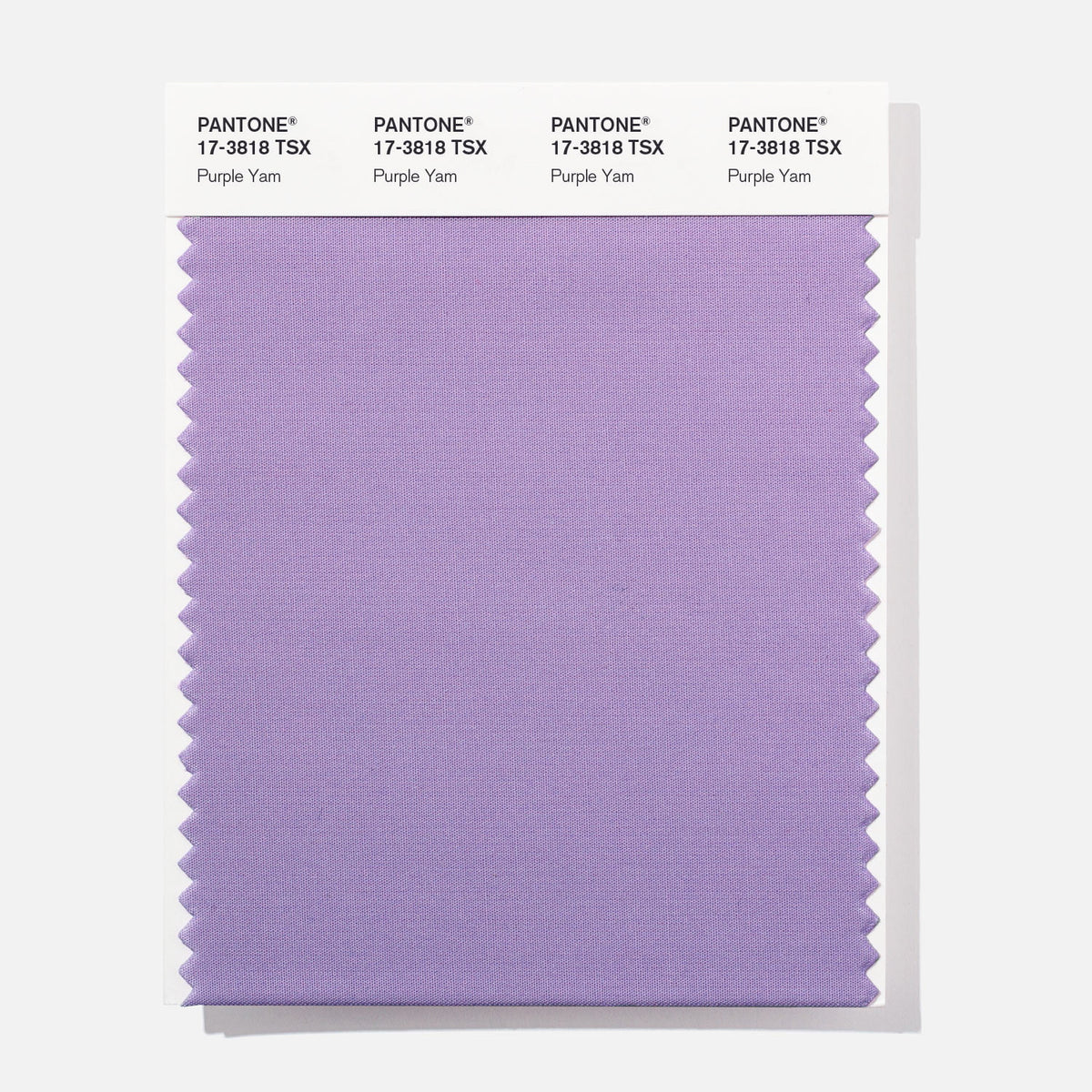 Polyester Swatch P8959