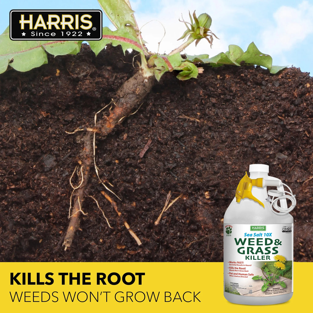 Sea Salt Weed & Grass Killer 128 oz V649