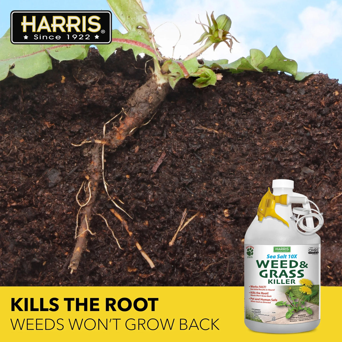 Sea Salt Weed & Grass Killer 128 oz V649