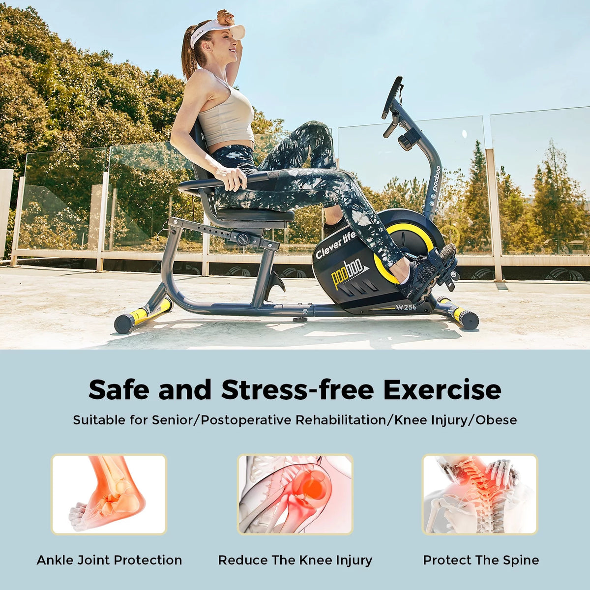 Recumbent Exercise Bike Magnetic Resistance T530